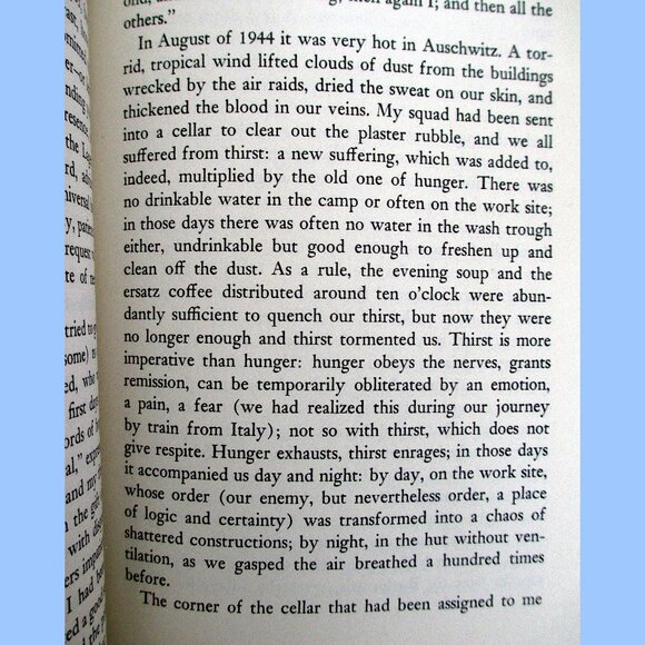 Book: The Drowned and the Saved by Primo Levi, Translated by Raymond Rosenthal - Picture 5 of 13